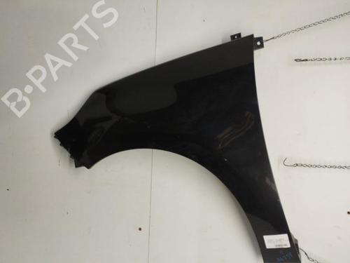 Left front fenders RENAULT SCÉNIC III (JZ0/1_) 1.5 dCi | BP26421983C41 