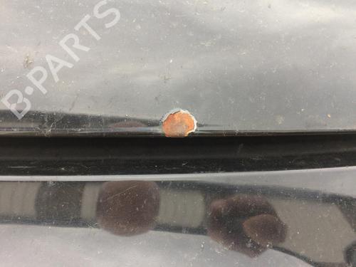 Hood FIAT 500 (312_) 1.3 D Multijet (312AXB1A) | BP28156393C1