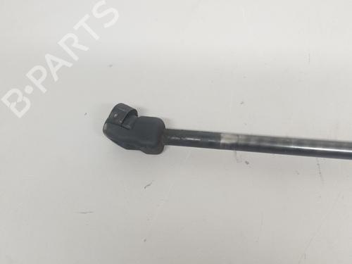 Hood lift support AUDI A3 (8P1) 1.9 TDI | BP26413777C139 