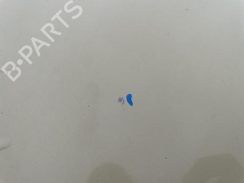 Hood FIAT PANDA (169_) 1.2 LPG (169CXF1A) | BP30736219C1 