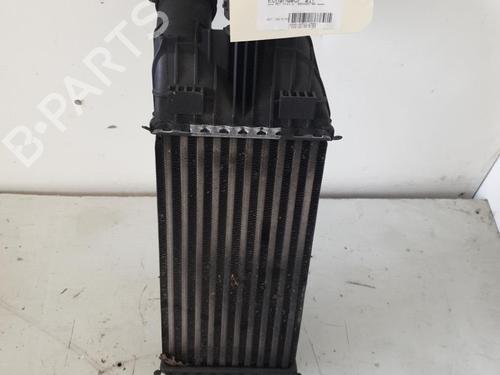 Used Intercooler PEUGEOT 208 I (CA_, CC_) 1.6 HDi (92 hp) 26422366