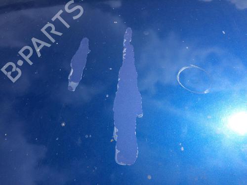 Hood RENAULT SCÉNIC III (JZ0/1_) 1.5 dCi | BP27344773C1