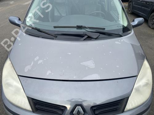 Vindspejlsviskerarm RENAULT SCÉNIC II (JM0/1_) 2.0 (JM05, JM0U, JM1N, JM1U, JM2V) (135 hp) 31646953