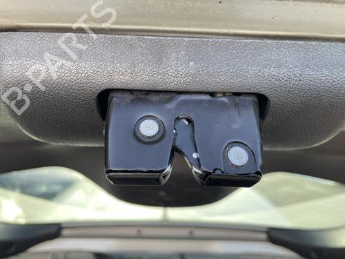 Used Tailgate lock RENAULT CLIO III (BR0/1, CR0/1) 1.5 dCi (BR17, CR17) (86 hp) 31288875