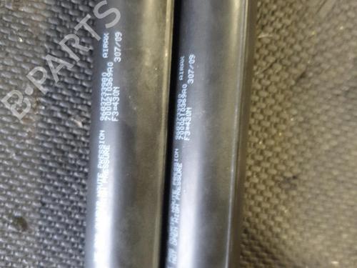 tailgate-lift-support-citroen-c3-ii-sc_-2009-26416882 main image