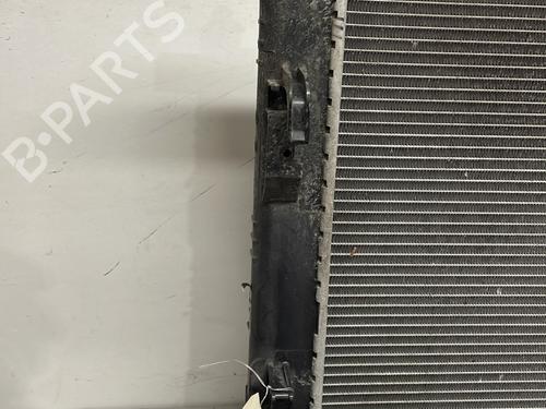 Water radiator DACIA LODGY (JS_) 1.2 TCe (JSAY, JSM0) | BP29320192M31 - Image 15