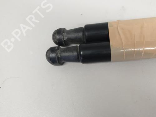 Tailgate lift support SKODA FABIA II (542) 1.6 TDI | BP26426550C138 