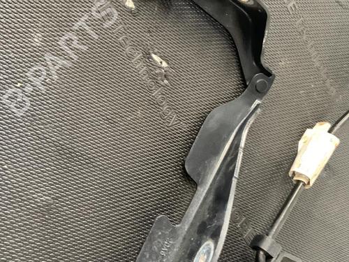 Hinge/Door check strap CITROËN C3 Pluriel (HB_) 1.4 HDi | BP26422609C146 