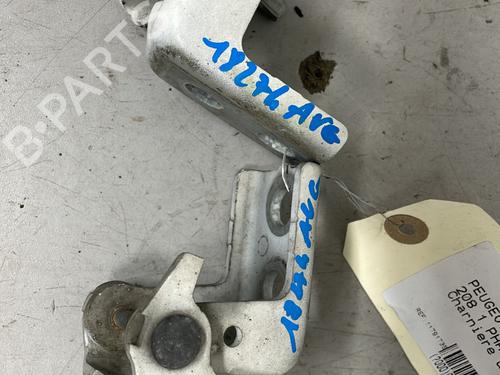 hingedoor-check-strap-peugeot-208-i-ca_-cc_-2012-2013-2014-2015-2016-2017-2018-2019-2020-2021-30872236 main image