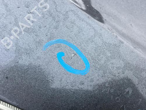 Hood PEUGEOT 1007 (KM_) 1.4 HDi | BP30176993C1 