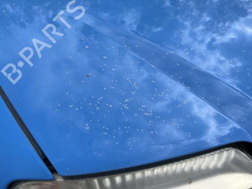 hood-fiat-panda-169_-2003-38584708 main image