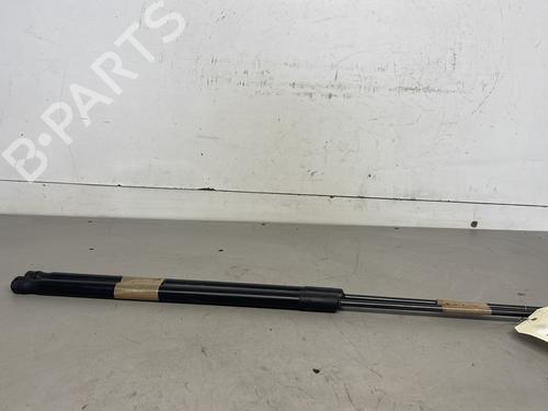 Used Tailgate lift support RENAULT MEGANE III Coupe (DZ0/1_) 1.5 dCi (DZ09, DZ0D, DZ1F, DZ1G, DZ14, DZ29) (110 hp) 26418921