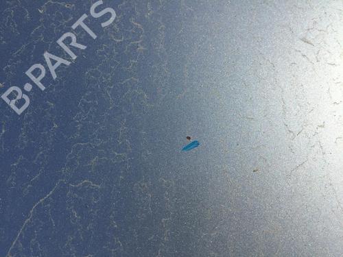 Hood SEAT LEON (1P1) 1.9 TDI | BP29725002C1 