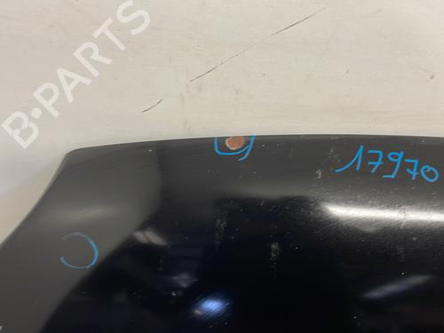 Hood FIAT 500 (312_) 1.3 D Multijet (312AXB1A) | BP28156393C1