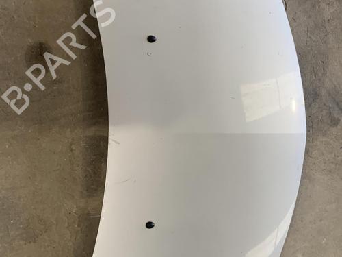 Used Hood RENAULT CLIO III (BR0/1, CR0/1) 1.5 dCi (BR17, CR17) (86 hp) 26422615