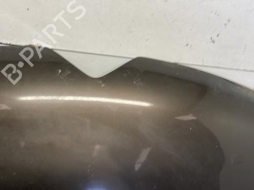Hood CITROËN C4 II (NC_) 1.6 VTi 120 (NC5FS0, NC5FS9) | BP29326858C1 