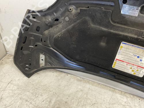 Hood FIAT 500 (312_) 1.3 D Multijet (312AXB1A) | BP28156393C1