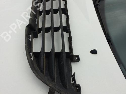 Grill PEUGEOT 207 (WA_, WC_) 1.4 HDi (68 hp) 28567539