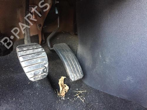 Used Pedal RENAULT CLIO III (BR0/1, CR0/1) 1.4 16V (98 hp) 29843539