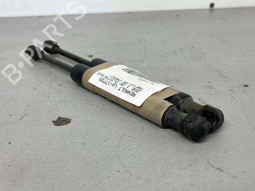 hood-lift-support-renault-zoe-bfm_-2012-28815973 main image