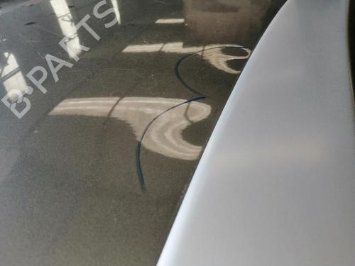 Tailgate PEUGEOT 207 CC (WD_) 1.6 16V | BP26425888C6 