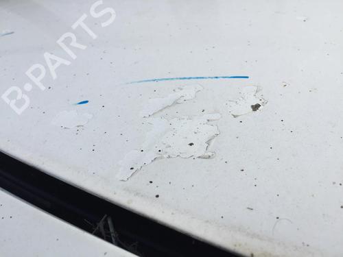 Hood CITROËN C3 II (SC_) 1.4 HDi 70 (SC8HZC, SC8HR0, SC8HP4) | BP30171691C1