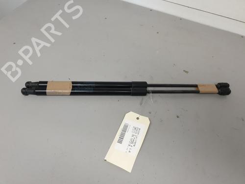 tailgate-lift-support-skoda-fabia-ii-542-2006-2007-2008-2009-2010-2011-2012-2013-2014-26426550 main image