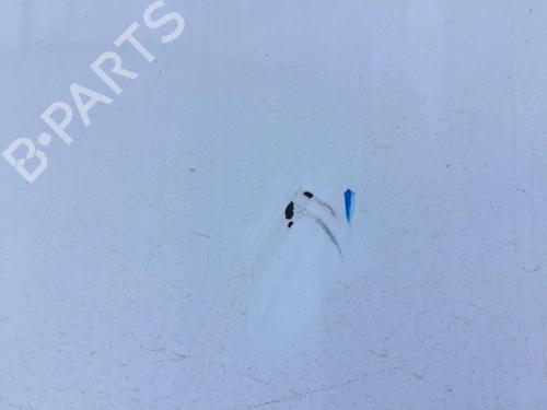 Rear bumper RENAULT SCÉNIC III (JZ0/1_) 1.5 dCi | BP29854113C8