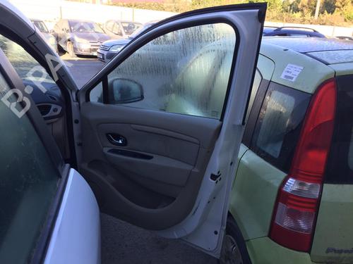 Right front door RENAULT SCÉNIC III (JZ0/1_) 1.5 dCi | BP29854116C3