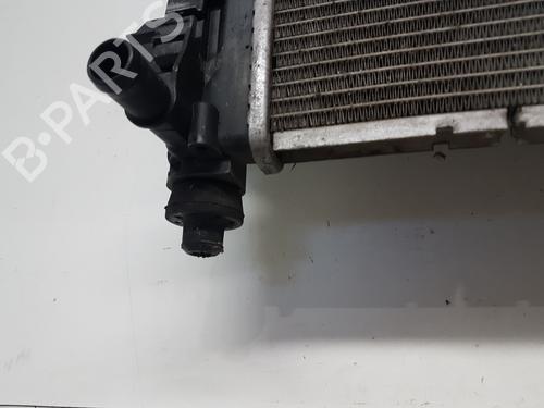 Køler RENAULT ZOE (BFM_) ZOE (BFMC, BFMD) | BP30362954M31 