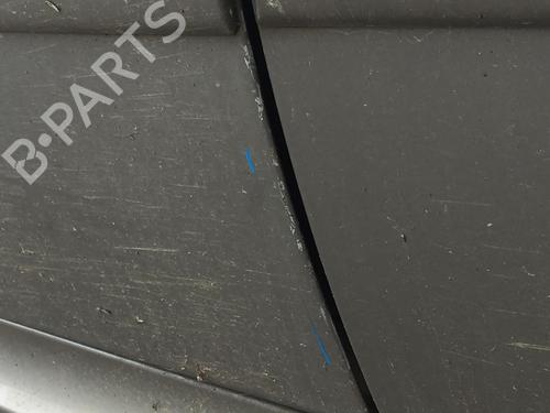 Left front door MERCEDES-BENZ A-CLASS (W169) A 180 CDI (169.007, 169.307) | BP29303626C2