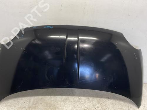 Hood FIAT 500 (312_) 1.3 D Multijet (312AXB1A) | BP28156393C1