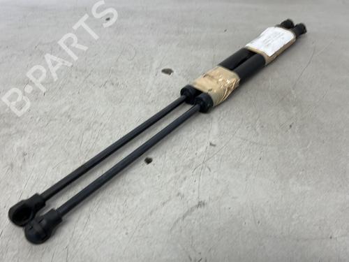 hood-lift-support-renault-megane-iv-hatchback-b9amn_-2015-32981348 main image