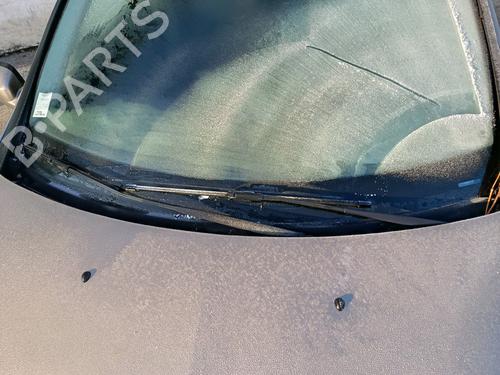 Used Front windshield wiper arm RENAULT CLIO III (BR0/1, CR0/1) 1.5 dCi (C/BR0G, C/BR1G) (68 hp) 30848965