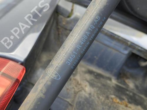 Tailgate lift support FORD C-MAX (DM2) 1.8 TDCi | BP30132774C138