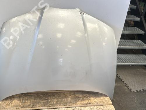 Used Hood SEAT IBIZA III (6L1) 1.9 TDI (100 hp) 27030837