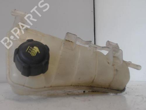 Expansion tank RENAULT KANGOO Express (FW0/1_) 1.5 dCi 90 (FW0G, FW05, FW08, FW11) | BP27033482C120 