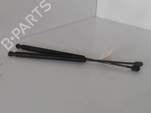 Used Tailgate lift support RENAULT SCÉNIC II (JM0/1_) 1.9 dCi (JM0G, JM12, JM1G, JM2C) (120 hp) 27033903