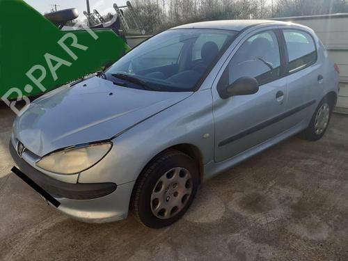 Left rear door PEUGEOT 206 Hatchback (2A/C) 1.9 D | BP27030887C4 