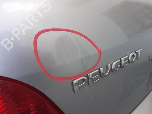 Tailgate PEUGEOT 307 (3A/C) 2.0 HDi 110 | BP27529153C6 