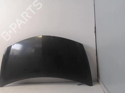 Used Hood RENAULT CLIO III (BR0/1, CR0/1) 1.5 dCi (BR17, CR17) (86 hp) 27033760
