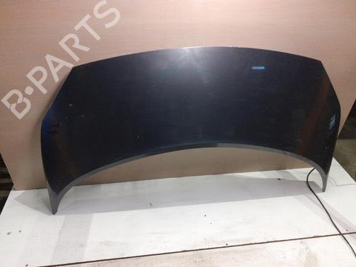 Panser RENAULT GRAND SCÉNIC II (JM0/1_) 1.9 dCi (JM0G, JM12, JM1G, JM2C) (120 hp) 27031176
