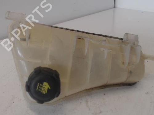 Expansion tank RENAULT KANGOO Express (FW0/1_) 1.5 dCi 90 (FW0G, FW05, FW08, FW11) | BP27033482C120 