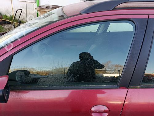 front-left-door-window-peugeot-206-sw-2ek-2002-33992600 main image