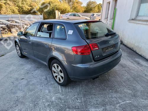 Venstre bak utvendig håndtak AUDI A3 Sportback (8PA) 1.9 TDI (105 hp) 29898848