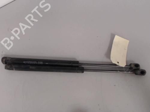 Used Tailgate lift support CHEVROLET AVEO / KALOS Hatchback (T250, T255) 1.2 LPG (84 hp) 27034223
