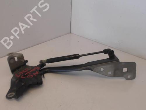 Used Hinge/Door check strap RENAULT SCÉNIC III (JZ0/1_) 1.5 dCi (110 hp) 27027866