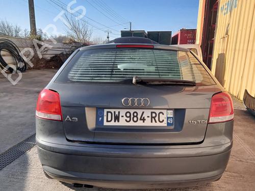 Used Tailgate AUDI A3 (8P1) 1.9 TDI (105 hp) 27028068
