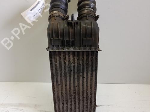 Used Intercooler PEUGEOT 207 (WA_, WC_) 1.6 HDi (90 hp) 30130083