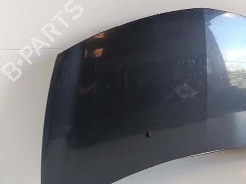 hood-renault-clio-iii-br01-cr01-2005-2006-2007-2008-2009-2010-2011-2012-2013-2014-29412681 main image